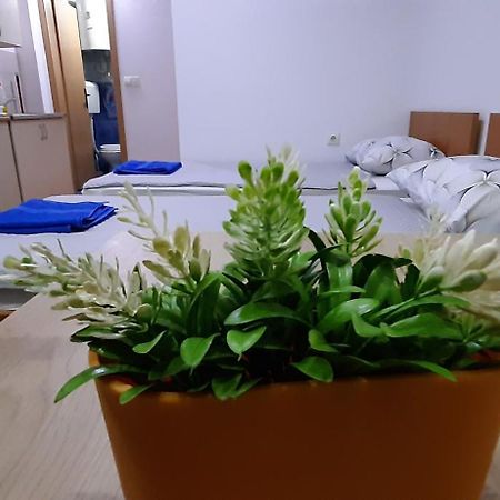 Apartment Riki 3 Near Bus Station Охрид Экстерьер фото